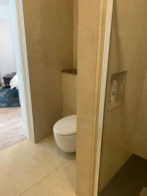 Beautiful Garden Apartment With Private Patio And Garden View Dublin Exteriör bild
