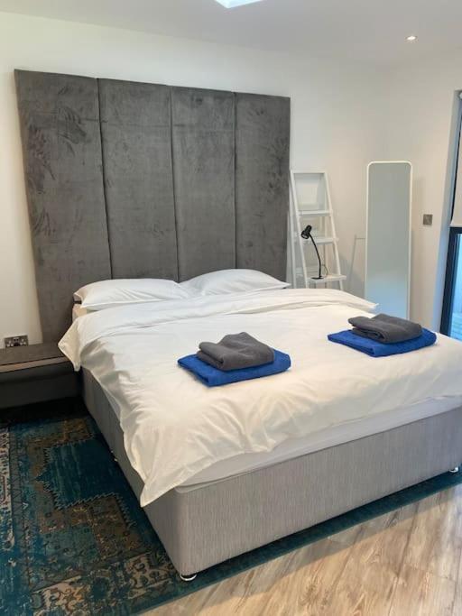 Beautiful Garden Apartment With Private Patio And Garden View Dublin Exteriör bild